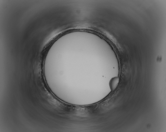 X0000097001456200803071106