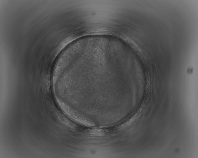 X0000097001457200803071106