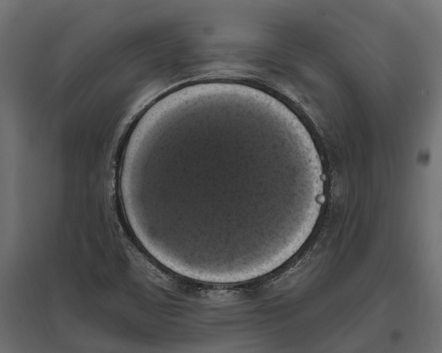 X0000097001459200803071106