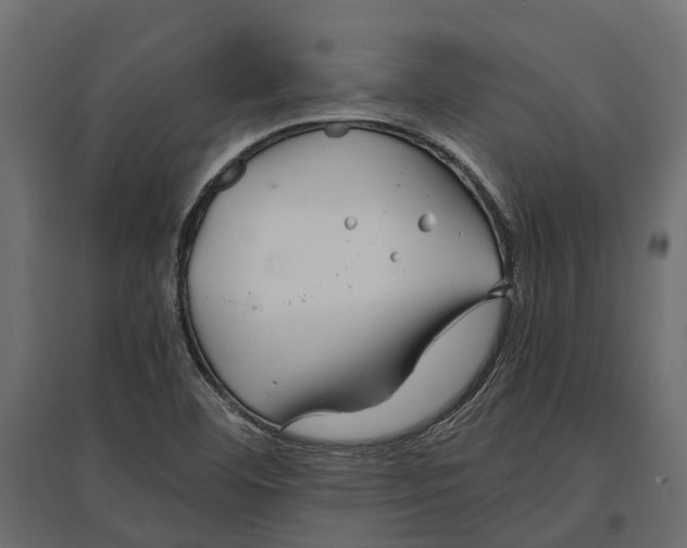 X0000097001460200803071106