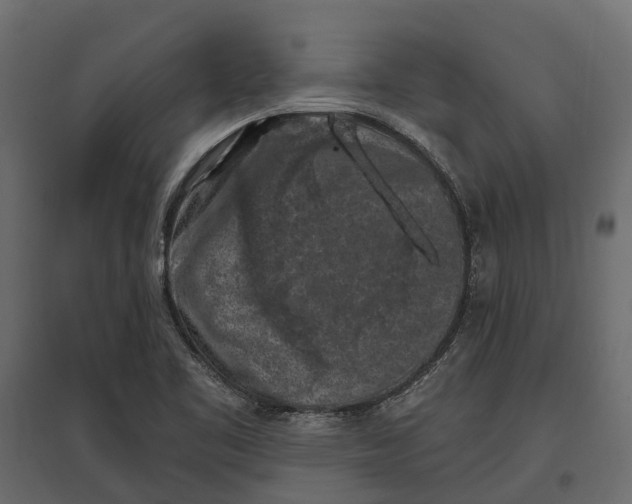 X0000097001461200803071106