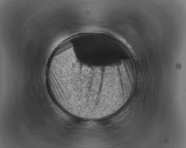 X0000097001463200803071106