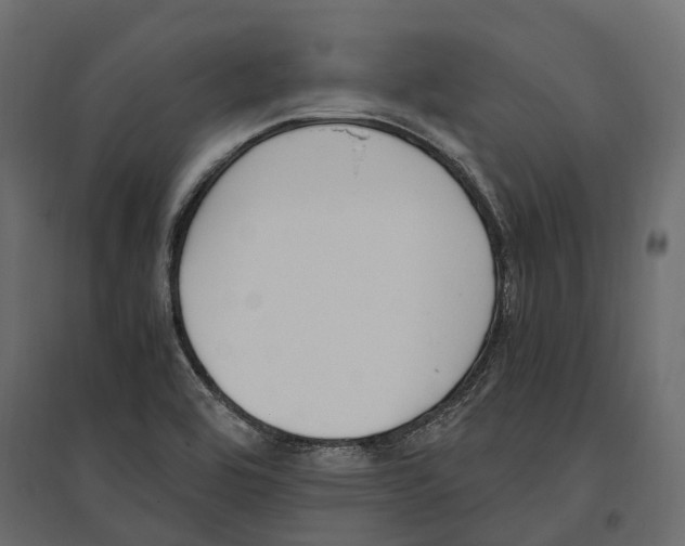 X0000097001464200803071106