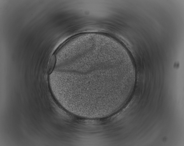 X0000097001465200803071106