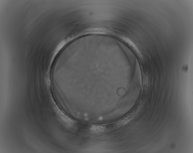 X0000097001466200803071106