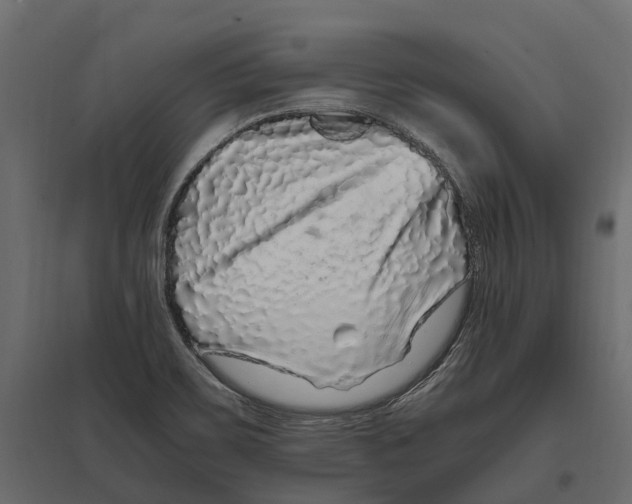 X0000097001467200803071106