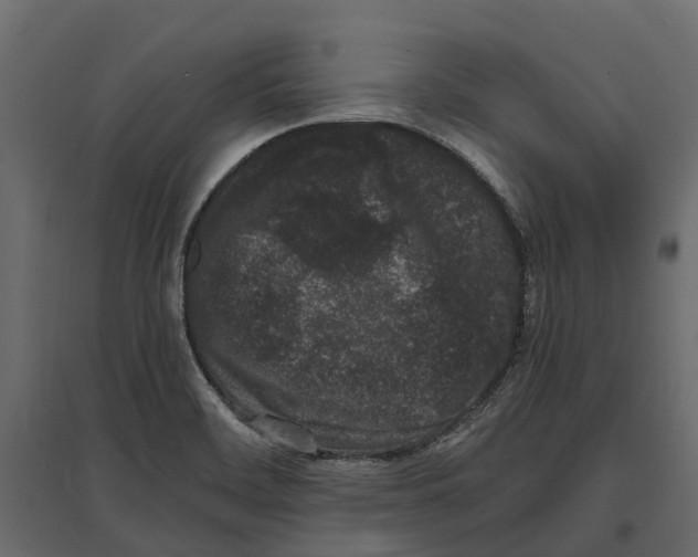 X0000097001468200803071106