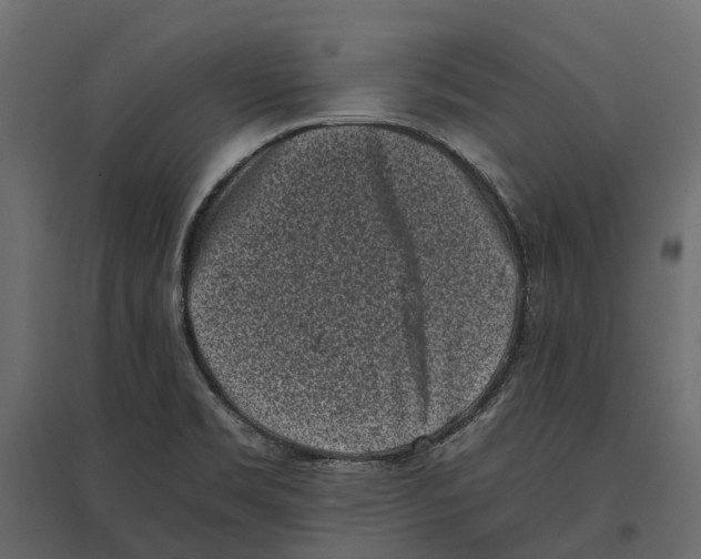 X0000097001469200803071106