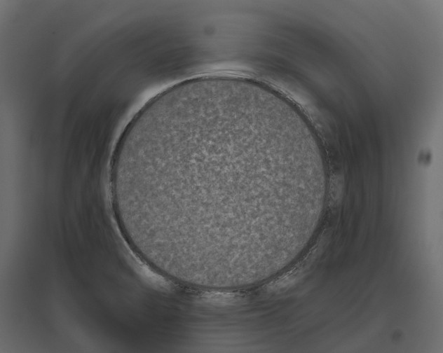 X0000097001470200803071106