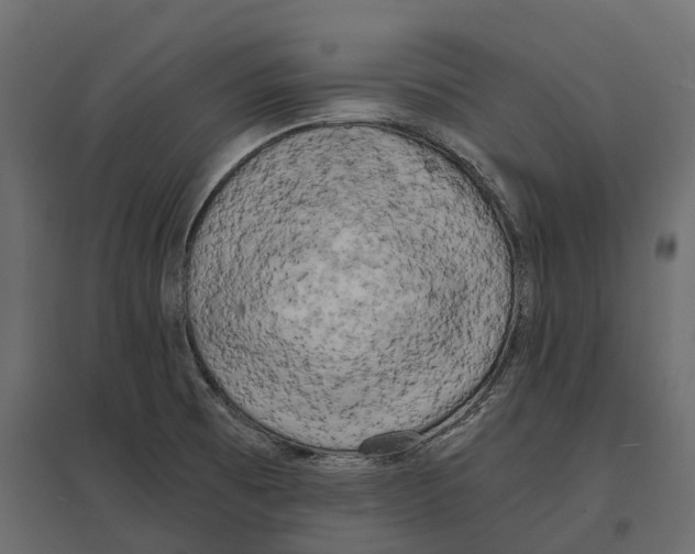 X0000097001473200803071105