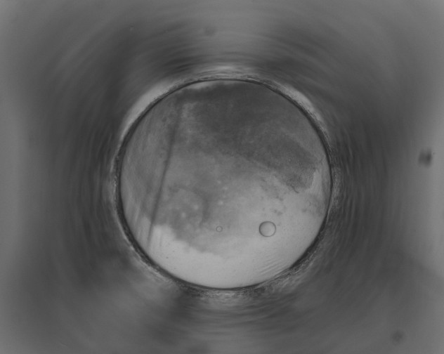 X0000097001474200803071105