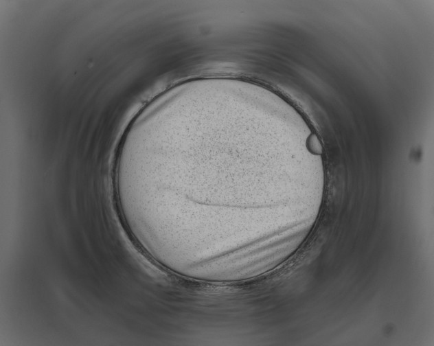 X0000097001475200803071105