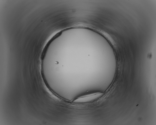 X0000097001476200803071105