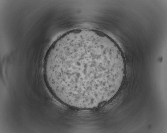 X0000097001477200803071105