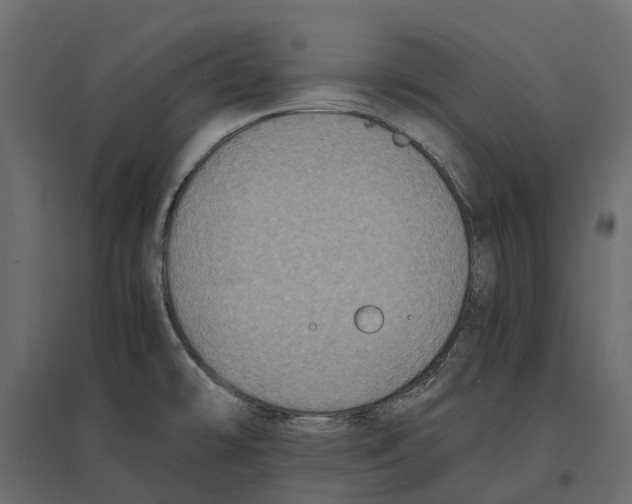 X0000097001478200803071105