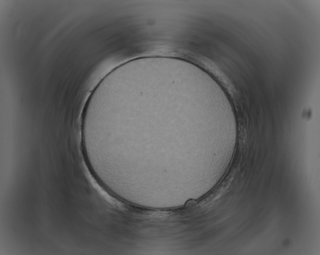 X0000097001479200803071105