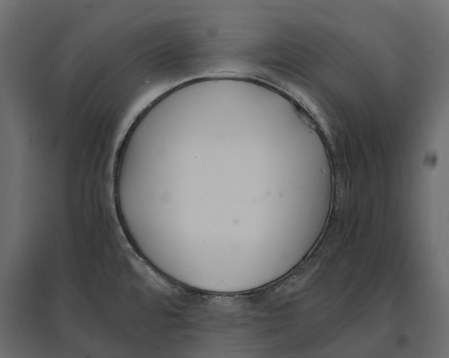 X0000097001480200803071105