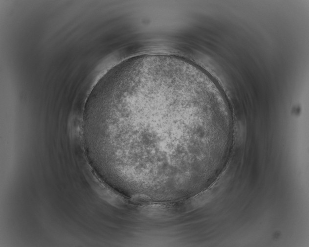 X0000097001481200803071105