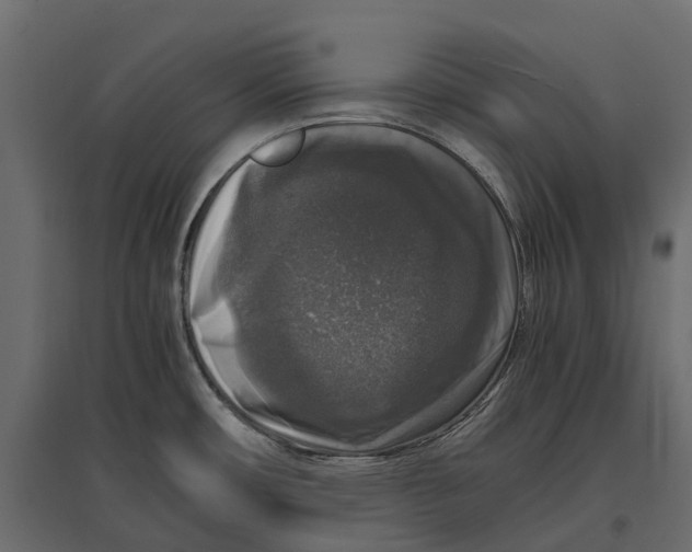 X0000097001482200803071105