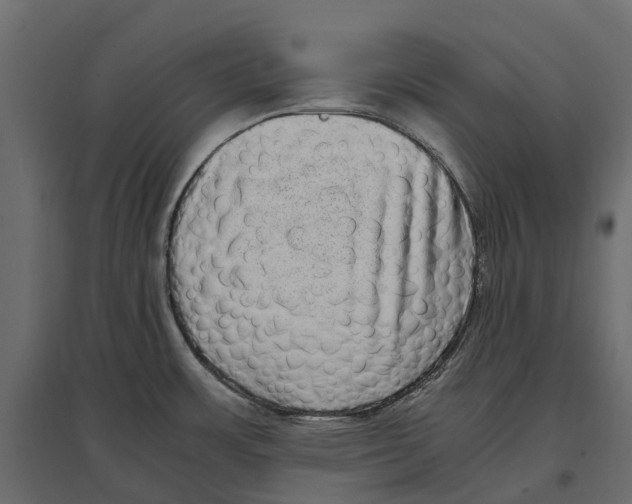 X0000097001483200803071105