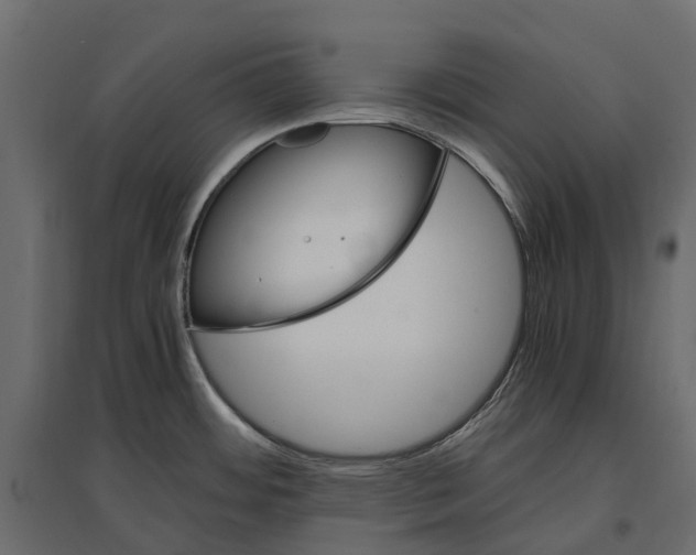 X0000097001484200803071105