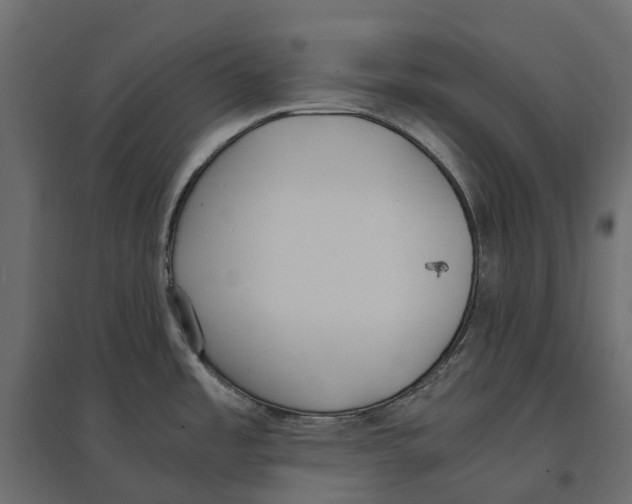 X0000097001485200803071105