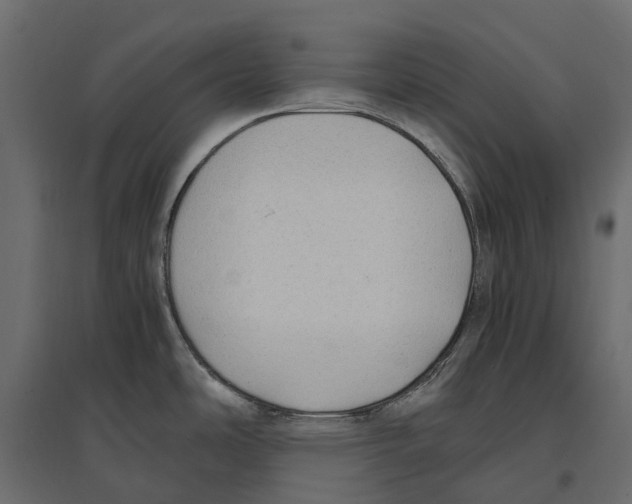 X0000097001486200803071105