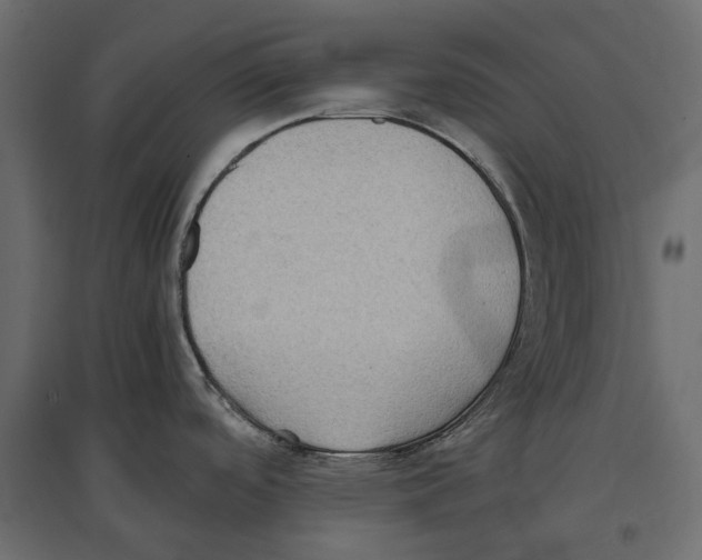 X0000097001488200803071105