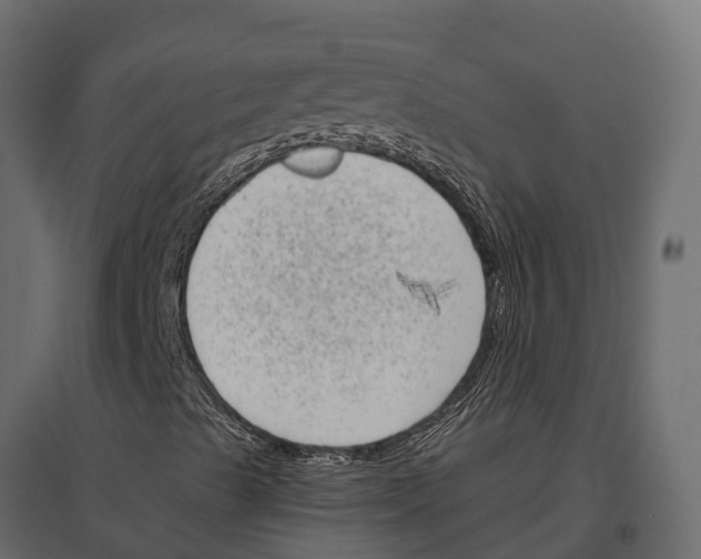 X0000097001489200803071104