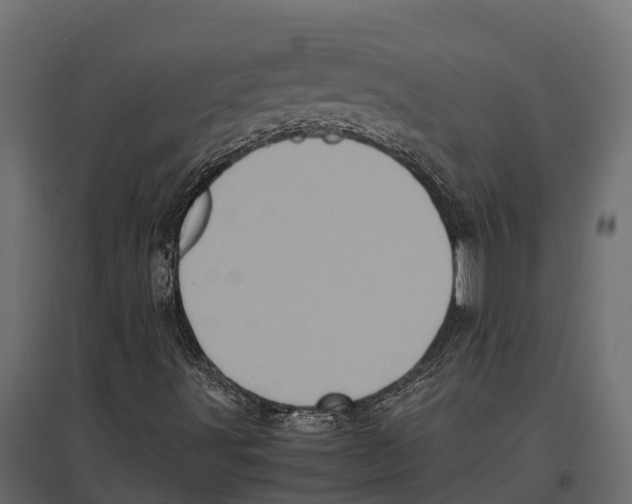 X0000097001491200803071104