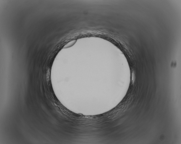 X0000097001492200803071104