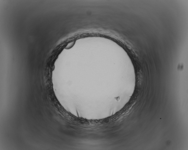 X0000097001494200803071104