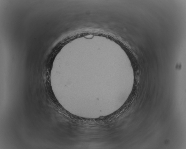 X0000097001495200803071104