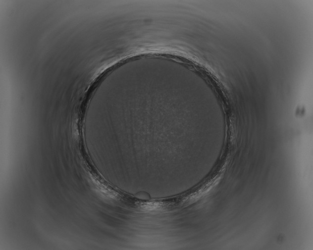 X0000097001497200803071105