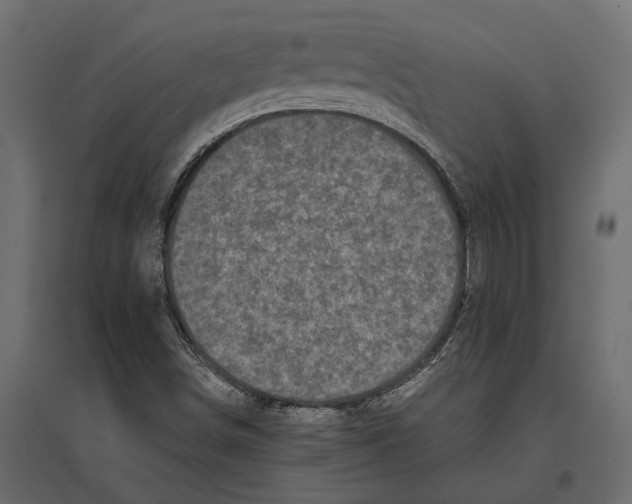 X0000097001498200803071105