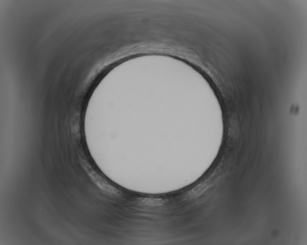 X0000097001499200803071105