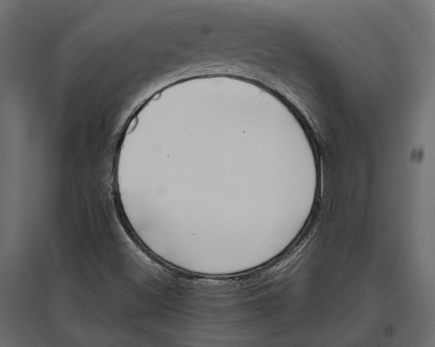 X0000097001500200803071105