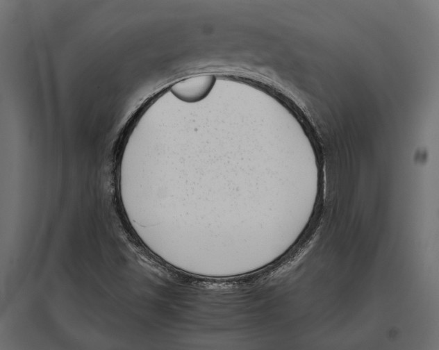 X0000097001501200803071105