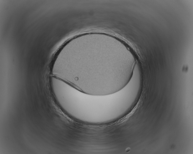 X0000097001502200803071105