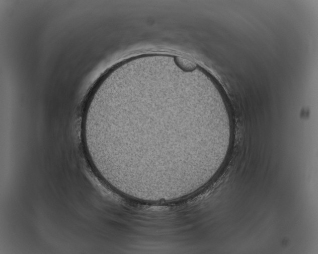 X0000097001503200803071105