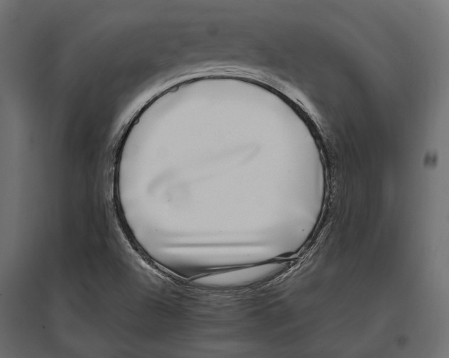 X0000097001504200803071105