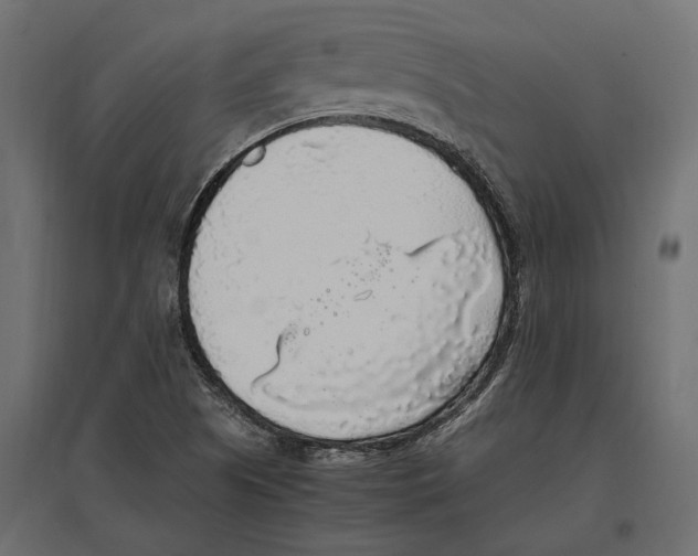 X0000097001505200803071105