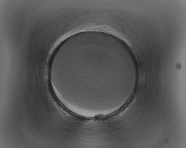 X0000097001506200803071105