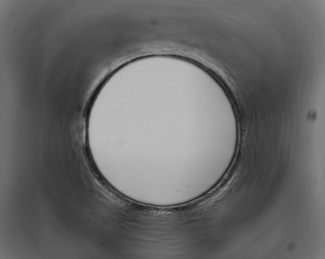 X0000097001509200803071105