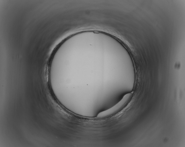 X0000097001510200803071105