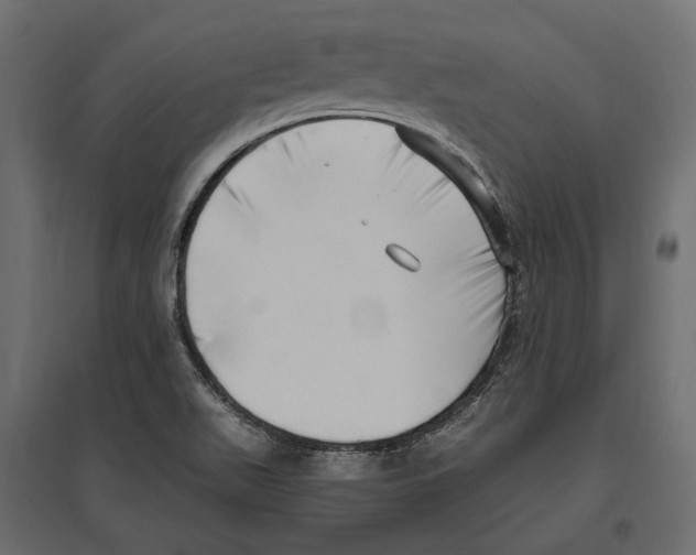 X0000097001511200803071105