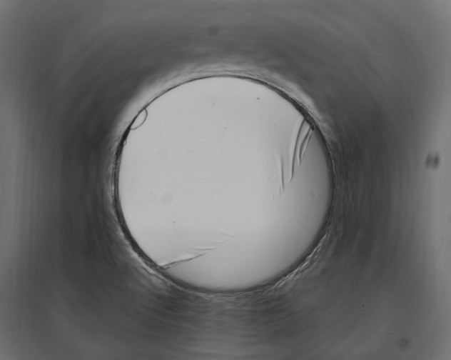 X0000097001512200803071105