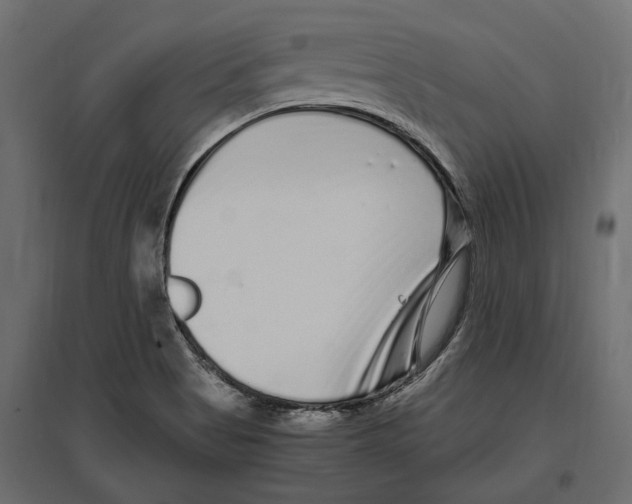 X0000097001513200803071105