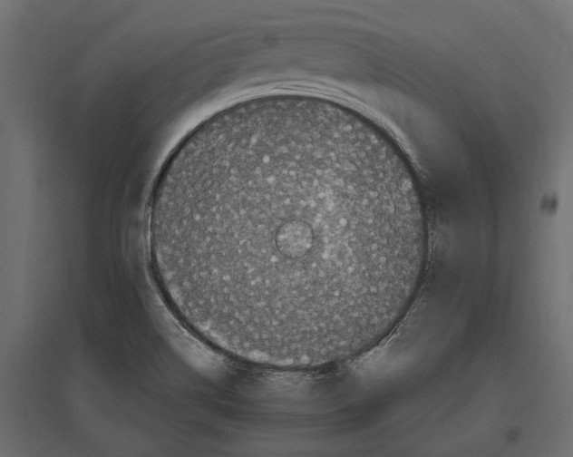 X0000097001514200803071105