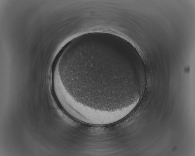 X0000097001515200803071105